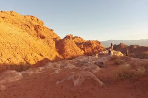 Absoluta tranquilidad