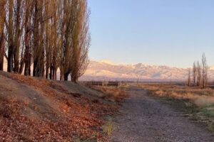 Accommodation La Pichona