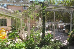 Akropolis Temporarios