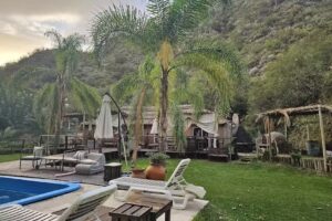 ALAMOS DE LA PUNTILLA