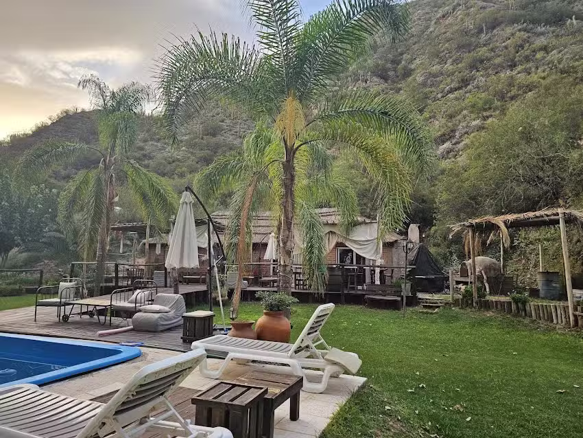 ALAMOS DE LA PUNTILLA