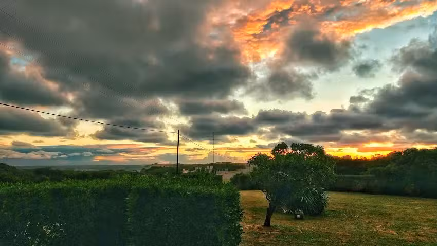 Alfonsina – Campo Y Mar