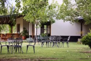 Algodon Wine Estates