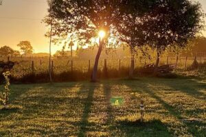 Alojamiento de Playa y Rural