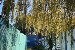 Alojamiento/Departamentos por día “LA VASQUITA”