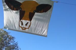 Alojamiento Eco Camp