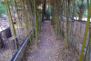 Alojamiento El Nómada