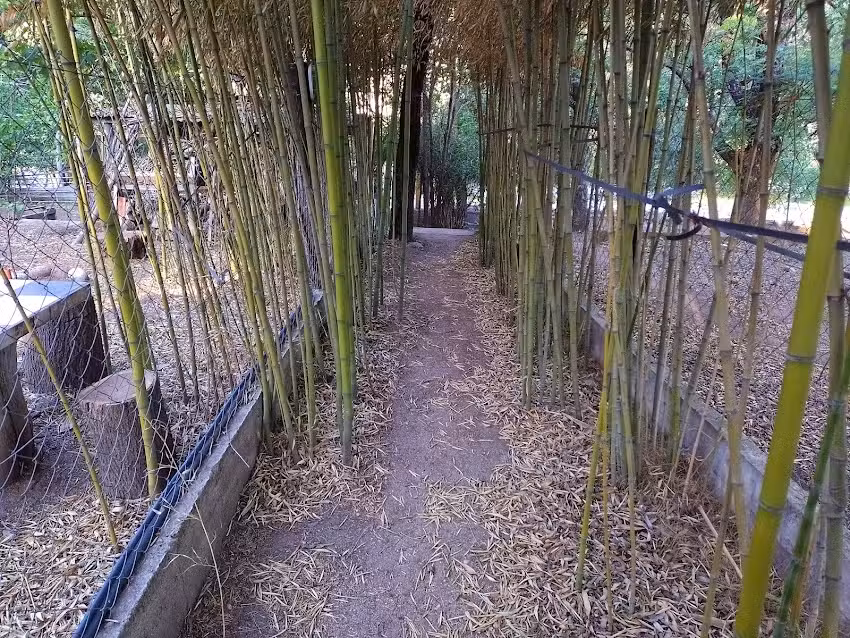 Alojamiento El Nómada