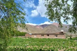 Alojamiento Flor del Morado Iruya