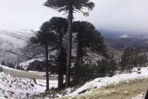 Alojamiento Küme Kiyen – Aluminé, Nqn.