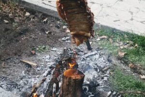 Alojamiento La Quinta