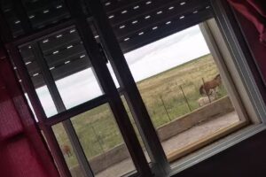 Alojamiento “La S”