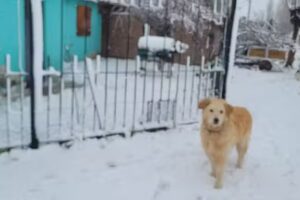 Alojamiento Pablo 24hs