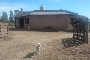 Alojamiento Santa Elena