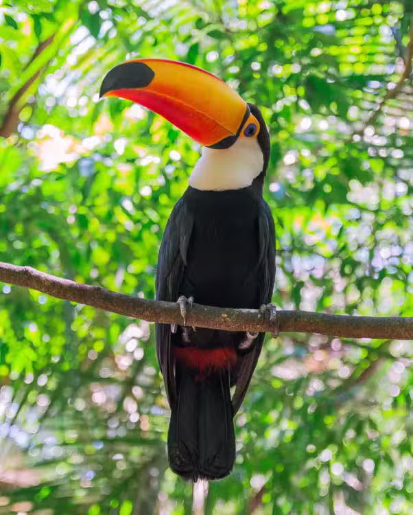alojamiento Sol de Iguazu habitaciones