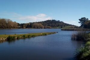 Alojamiento Temporal Los Dos Sauces