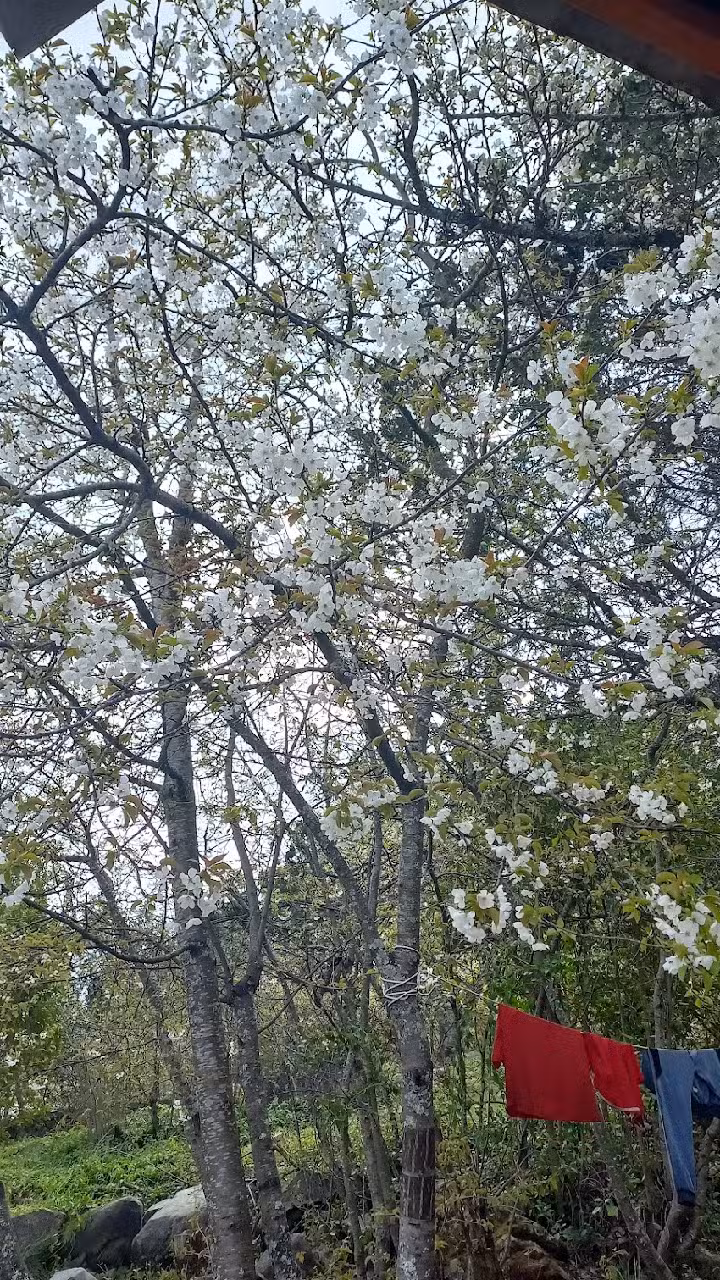 Alojamientos Lago Puelo