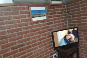 Alojamientos por día EGO