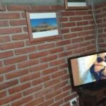 Alojamientos por día EGO