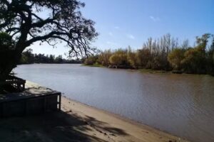 Alquiler de Cabañas Bonanza