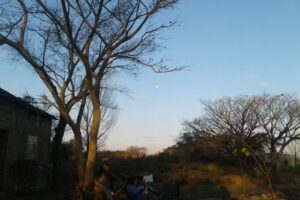 Alquiler De Cabañas Campo del Medio