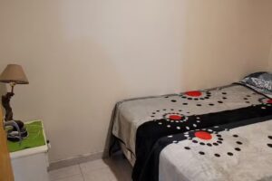 Alquiler por dia Buta “Brothers”