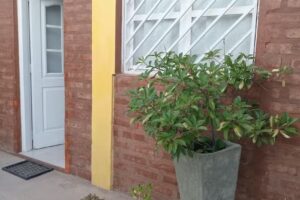 Alquiler temporal Cutral Có (Neuquén)