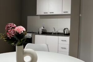 Alquiler Temporario Perico