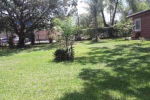 ALQUILO La Casa de Campo San Cosme. I rent the country house San Cosme, Corrientes
