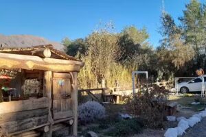 Alta Montaña Cabañas