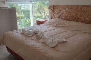 Altos de Alem Federación