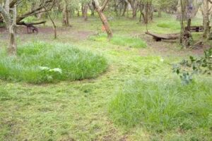 Altos de Punta Indio