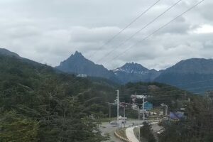 Amigos del Fin del Mundo