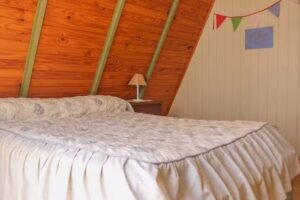 Apart Alpine Cabañas