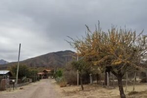 Apart Cabaña La Unica