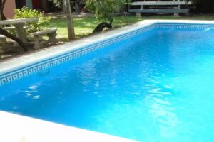 Apart-Cabañas De La Plaza