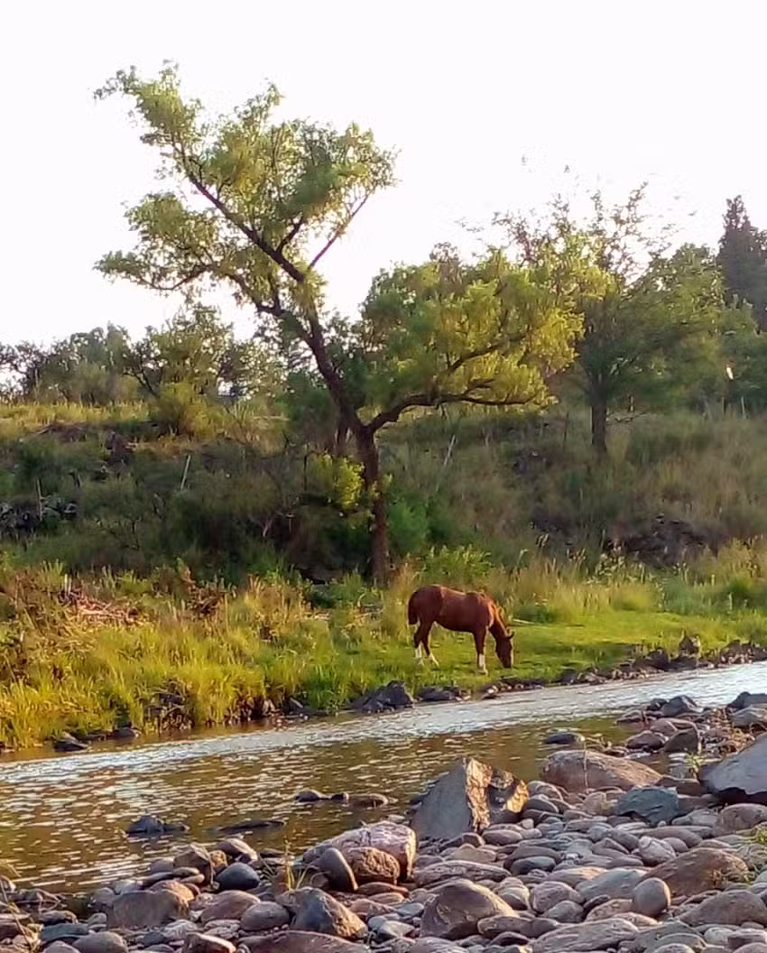 Apart Cabañas El Manzanar