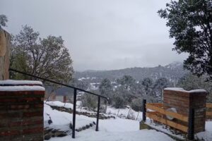 Apart HAKUNA PEHUENIA