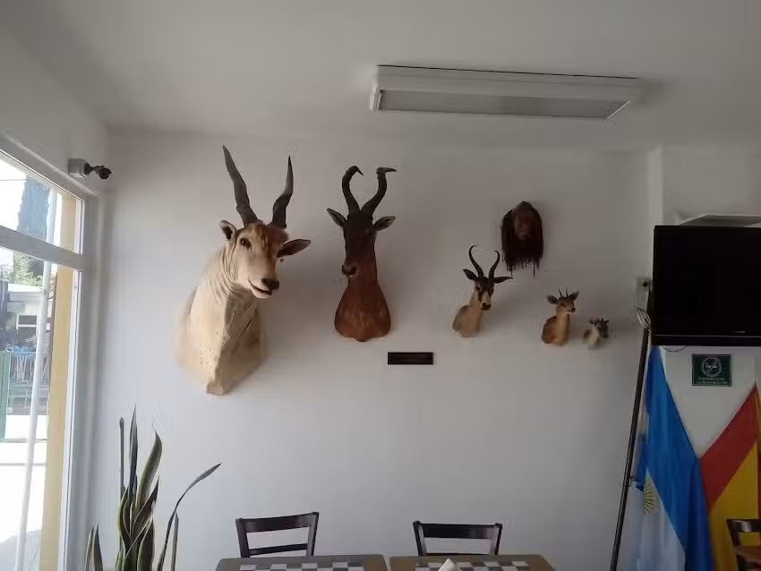 Apart Hotel Alejandria