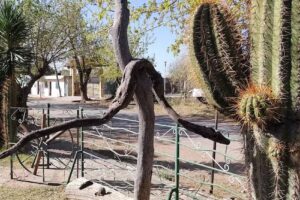 Apart Hotel Altos del Valle