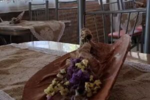 Apart Hotel Tierra Del Sol