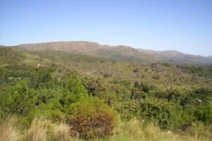 Apart Suites & Cabañas Duendes del Pungo