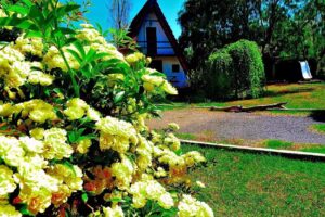 Apart y Cabañas Verde y Blanco