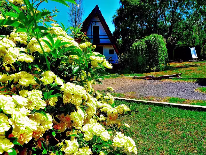 Apart y Cabañas Verde y Blanco