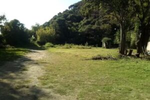 Apartamentos Villa Jardin