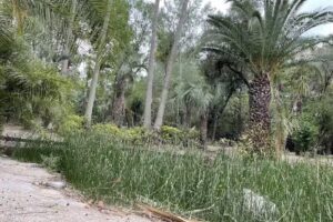 Aquae Sulis resort spa