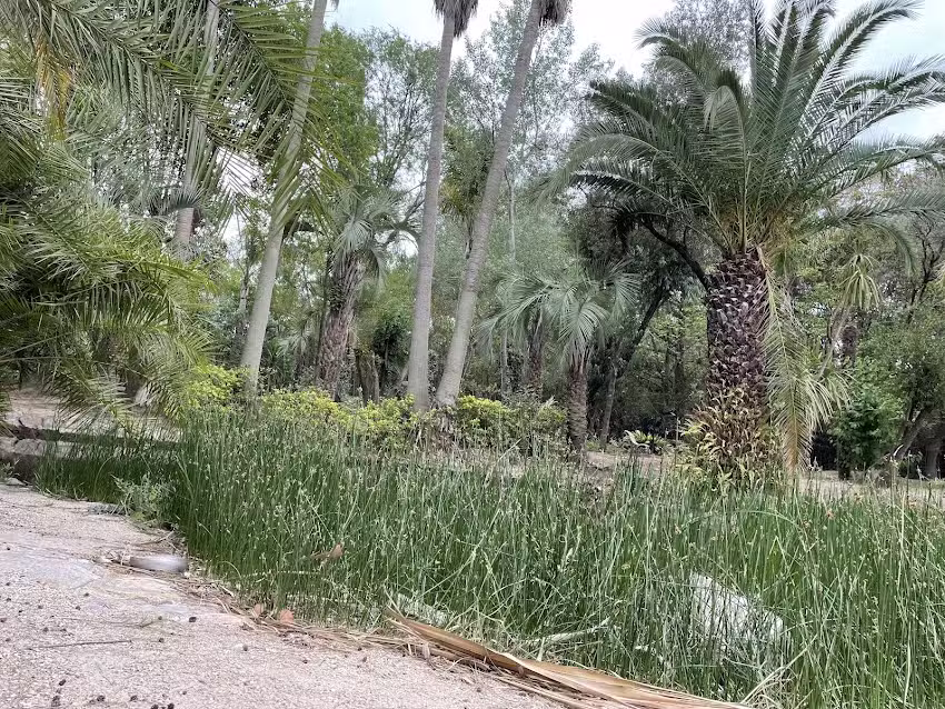 Aquae Sulis resort spa