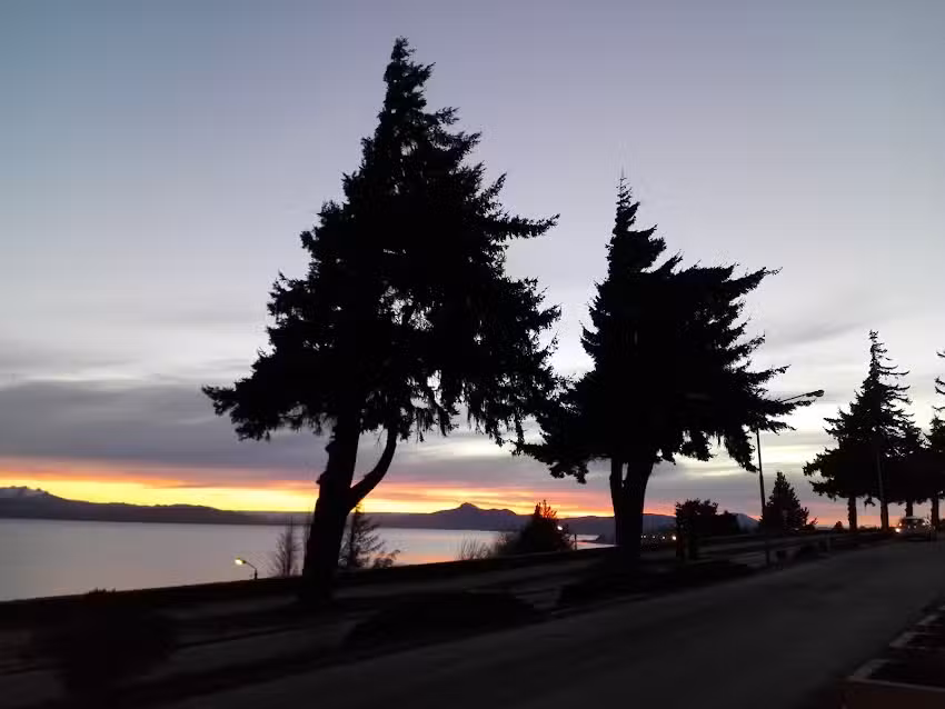 Argentino del Sur