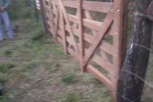 Asador – La Rotonda Alto de Medina