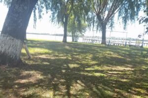 Asociacion Argentina De Pesca